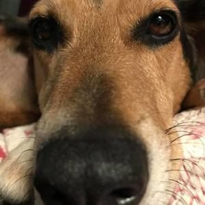 Meet your Posher, Carol